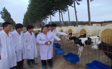 兽医师年度工作总结7篇