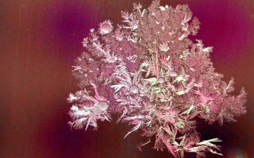 大班霜和冰教案精选5篇