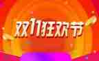 2023双11活动总结精选6篇