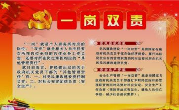 党风一岗双责工作总结7篇