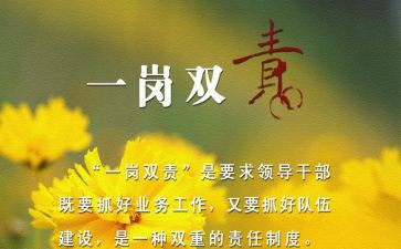 2024一岗双责述职报告范文5篇