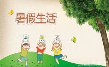 暑假总结报告1000字6篇