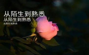 我最熟悉的人600作文优质6篇