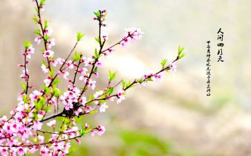教师四月工作总结7篇