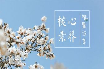 教师素养提升培训总结8篇