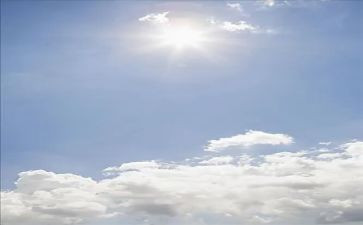 太阳草作文优秀8篇