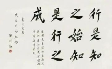 陶行知心得体会优质5篇