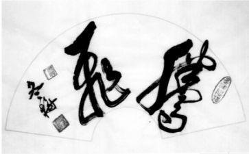 腾飞祖国的作文7篇