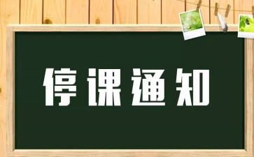 被停课心得体会7篇