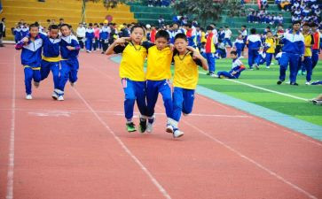 幼儿园中班体育活动方案6篇