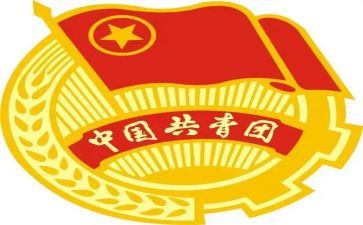 团干部的个人总结模板8篇