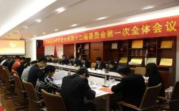 团委会述职报告6篇