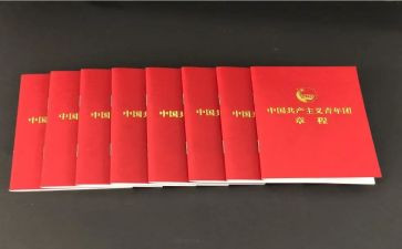 求团章心得体会6篇