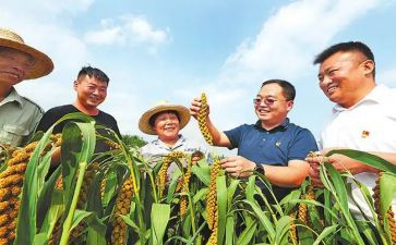 脱贫工作个人心得体会6篇