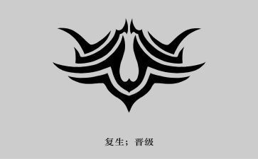 狼图腾小狼小狼的读后感模板5篇