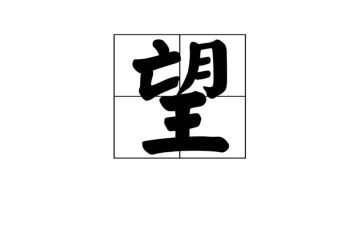天堂张望的观后感5篇