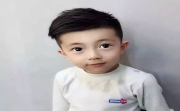 猫王子读后感模板6篇