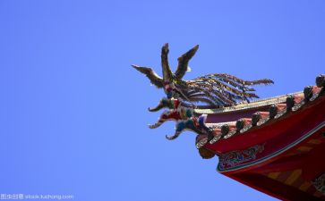 闽文化心得体会通用8篇