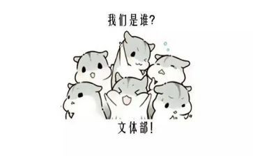 文体社活动总结8篇