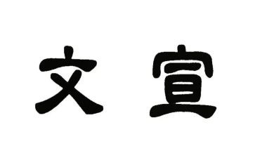 文宣的工作总结7篇