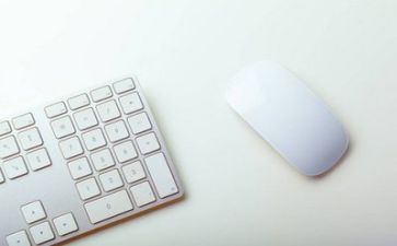 文员的个人总结报告精选7篇