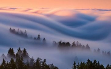 有关雾的作文800字最新8篇