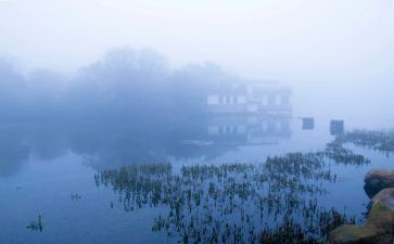 描写雾的作文300字模板7篇