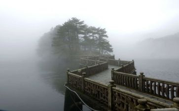 描写雾的作文300字6篇