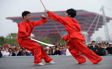 武术进校园活动总结8篇