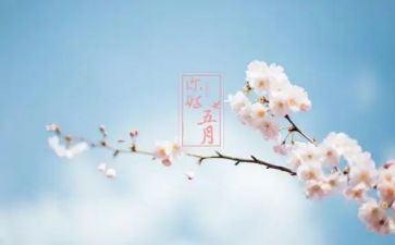 幼儿园五月份工作计划参考6篇