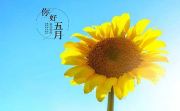 2024年五月心得体会8篇