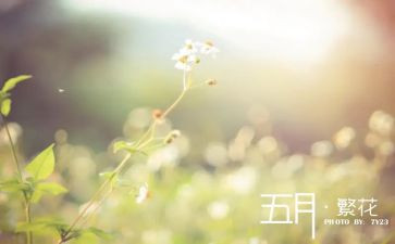 大班教师五月工作总结6篇