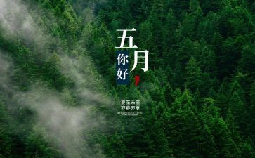 幼儿园五月份工作计划5篇