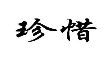 惜岗位心得体会参考7篇
