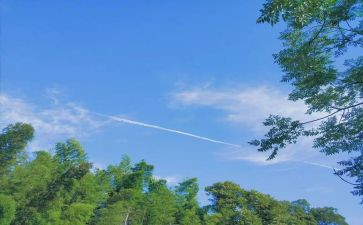 《夏》读后感200字5篇