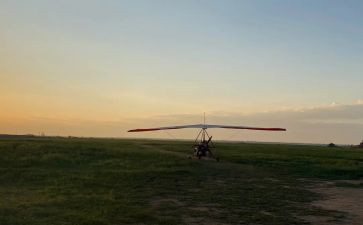 想飞的一只猫读后感6篇