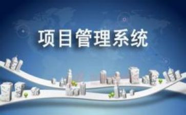 项目部2024年度工作总结5篇