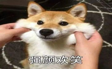 对微笑演讲稿优秀7篇