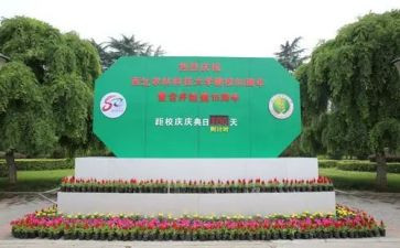 校庆的活动方案优质6篇