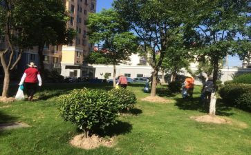 2023年小区物业上半年总结7篇