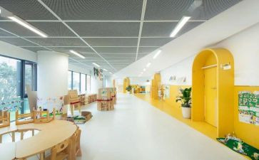 小学体育工作个人总结精选8篇
