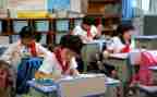 小学作业调查报告5篇