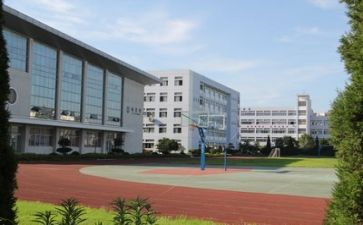 校园的心得体会通用6篇