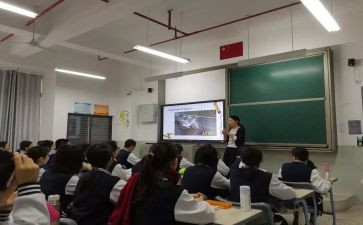 新课标2023心得体会5篇