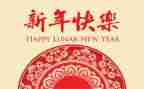新年幼儿活动方案精选6篇