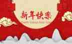 新年幼儿活动方案5篇
