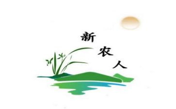 新农合工作个人总结8篇
