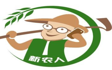 建设新农村实践报告6篇