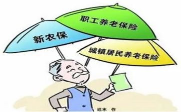 2023年新农保自查报告8篇