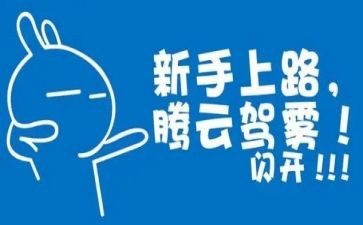 新手期心得体会8篇